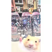 小鳥遊 もか