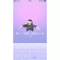 あみ