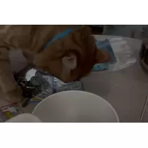 神永 莉聖