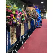 諸星 海