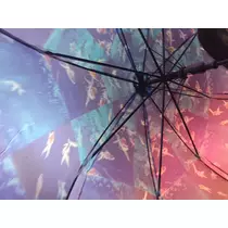 ゆき