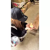 白咲 なのは