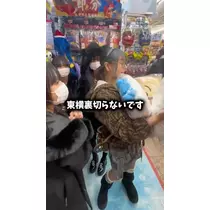 桜井 野の花