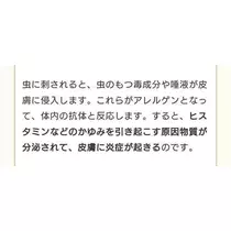 ひな