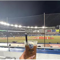 マヤ