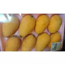 らん