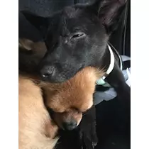 ユカ