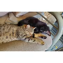 エミ （スタッフ）