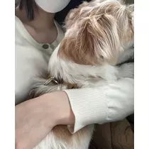 緑 四葉