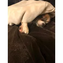 あいら