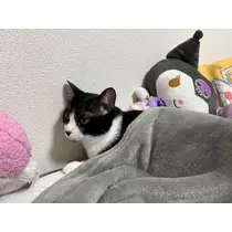 サキ