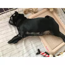 あきな