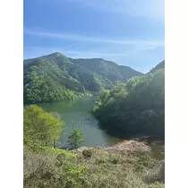 れんか