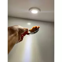 めい