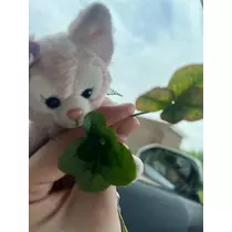 花音