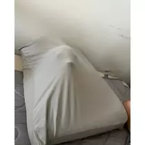 ねね