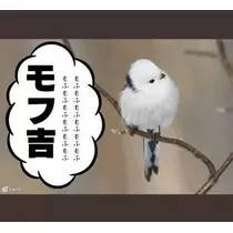 ひな