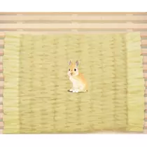 まこと