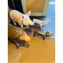 ゆかり