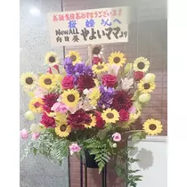 桜嬢