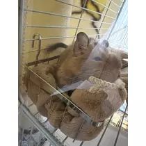 なっちゃん