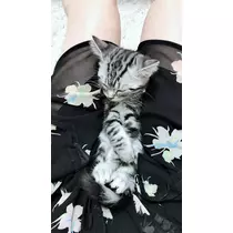 夢乃 サラ