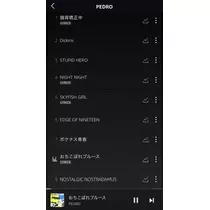 七星 夏純