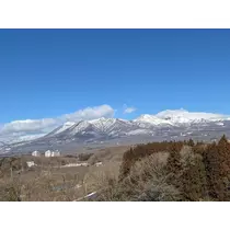 あや