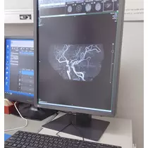 紫音