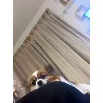 あいら