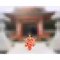 司