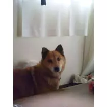 三咲 優