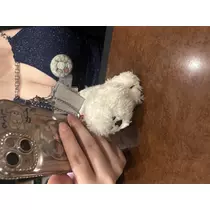 アヤ