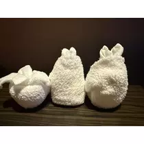 白石 愛莉