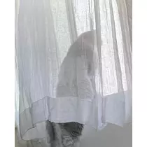 ねね