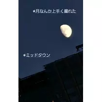 紫音