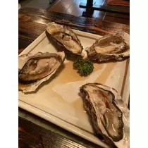 七星 夏純