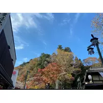 みく