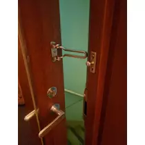紫音