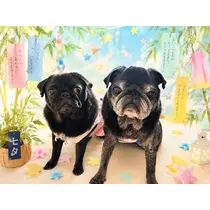 綾瀬 優