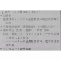 紫音