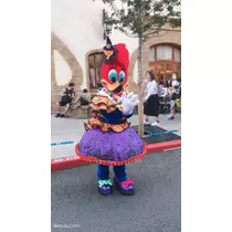 姫花