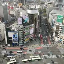 セララ