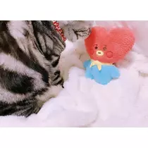 夢乃 サラ
