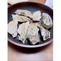 宝條 夏恋