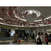 せいら