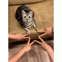 はるせ