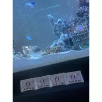 じゅんな