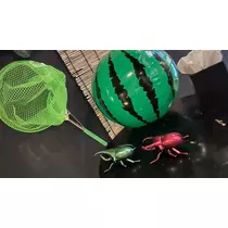 ぽぽ