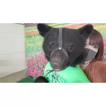 りか